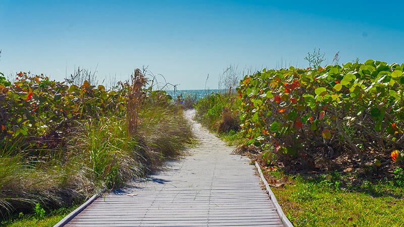 Pathway to Beach